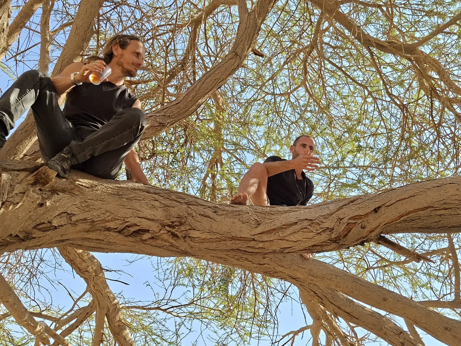 תה על עץ יחד